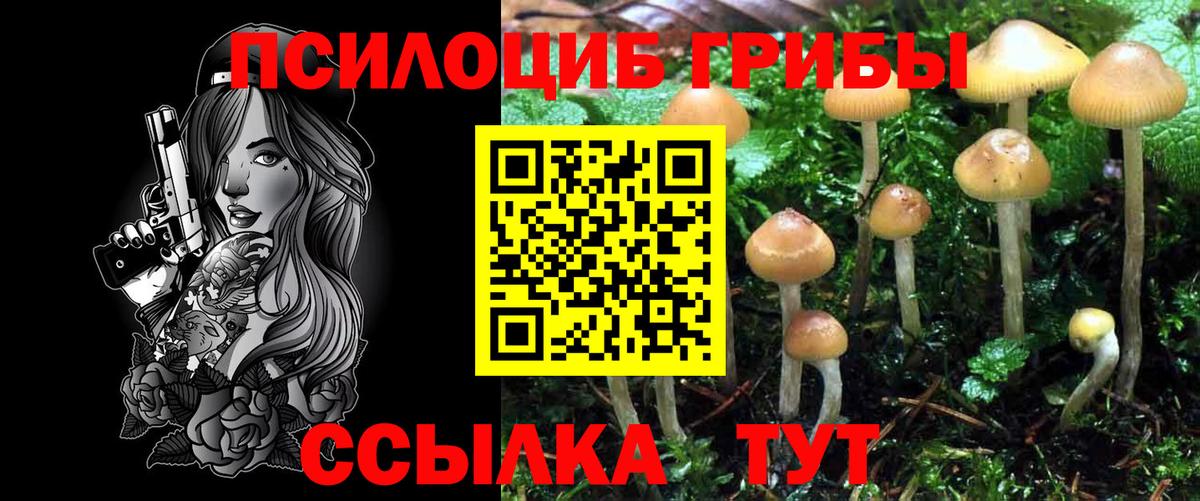 Алушта  Псилоцибиновые грибы Cubensis  Галлюциногенные грибы ЛСД  Вход с VPN 